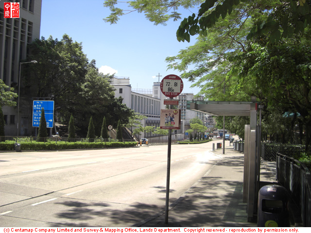 大埔道, 薩凡納藝術設計學院對面附近景觀